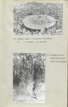 Ewidencja parkowa, skan nr 29