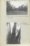 Ewidencja parkowa, skan nr 32