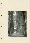 Ewidencja parkowa, skan nr 27