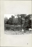 Ewidencja parkowa, skan nr 39