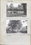 Ewidencja parkowa, skan nr 50