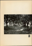 Ewidencja parkowa, skan nr 43