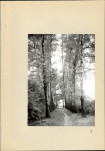 Ewidencja parkowa, skan nr 41