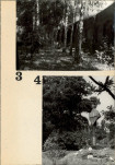 Ewidencja parkowa, skan nr 62