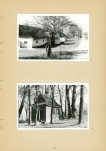 Ewidencja parkowa, skan nr 16