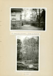 Ewidencja parkowa, skan nr 28
