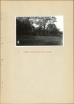 EP - Ewidencja parkowa, skan nr 19