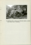 Ewidencja parkowa, skan nr 50
