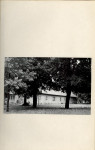 Ewidencja parkowa, skan nr 11