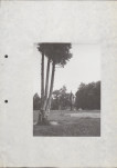 Ewidencja parkowa, skan nr 11