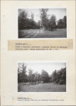 Ewidencja parkowa, skan nr 24