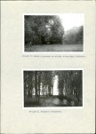Ewidencja parkowa, skan nr 38