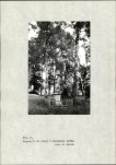 Ewidencja parkowa, skan nr 38