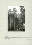 Ewidencja parkowa, skan nr 43