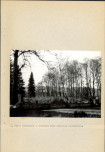 EP - Ewidencja parkowa, skan nr 49