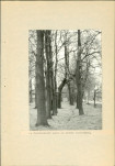 Ewidencja parkowa, skan nr 60