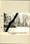 EP - Ewidencja parkowa, skan nr 31