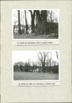 Ewidencja parkowa, skan nr 29
