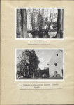 Ewidencja parkowa, skan nr 29
