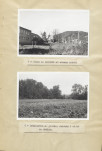Ewidencja parkowa, skan nr 30