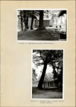 Ewidencja parkowa, skan nr 26