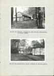 Ewidencja parkowa, skan nr 50