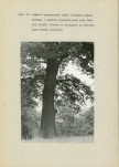 EP - Ewidencja parkowa, skan nr 76