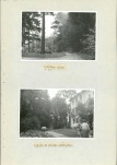 Ewidencja parkowa, skan nr 26