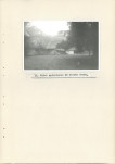 Ewidencja parkowa, skan nr 34