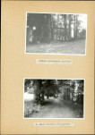 Ewidencja parkowa, skan nr 43