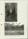Ewidencja parkowa, skan nr 35
