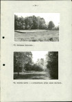 Ewidencja parkowa, skan nr 40