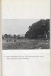 Ewidencja parkowa, skan nr 40