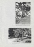 Ewidencja parkowa, skan nr 30