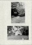 Ewidencja parkowa, skan nr 29