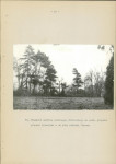Ewidencja parkowa, skan nr 39