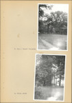 Ewidencja parkowa, skan nr 21