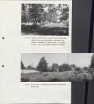 Ewidencja parkowa, skan nr 69
