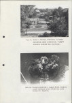 Ewidencja parkowa, skan nr 73
