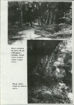 Ewidencja parkowa, skan nr 34
