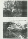 Ewidencja parkowa, skan nr 35