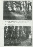 Ewidencja parkowa, skan nr 38