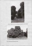 Ewidencja parkowa, skan nr 32