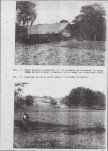 Ewidencja parkowa, skan nr 46
