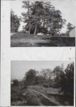 Ewidencja parkowa, skan nr 23