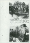 Ewidencja parkowa, skan nr 42
