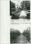 Ewidencja parkowa, skan nr 43