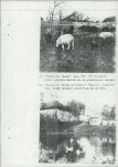 Ewidencja parkowa, skan nr 48