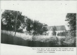 Ewidencja parkowa, skan nr 65