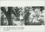 Ewidencja parkowa, skan nr 67